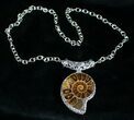 Ammonite Necklace - Million Year Old Fossil #4229-1